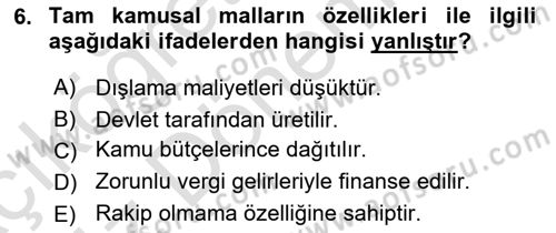 Kamu Maliyesi Dersi Ara Sınavı Deneme Sınav Soruları 6. Soru