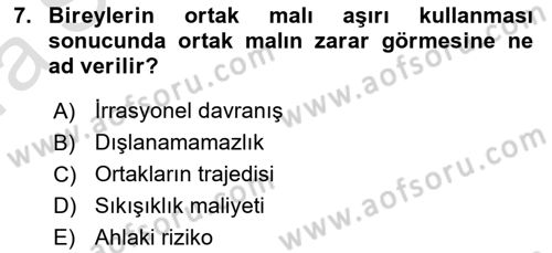 Kamu Maliyesi Dersi Ara Sınavı Deneme Sınav Soruları 7. Soru