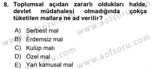 Kamu Maliyesi Dersi 2021 - 2022 Yılı (Vize) Ara Sınav Soruları 8. Soru