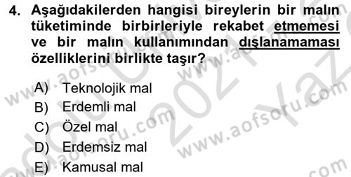 Kamu Maliyesi Dersi 2021 - 2022 Yılı Yaz Okulu Sınav Soruları 4. Soru