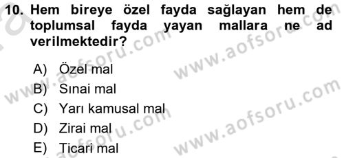 Kamu Maliyesi Dersi 2022 - 2023 Yılı (Vize) Ara Sınav Soruları 10. Soru
