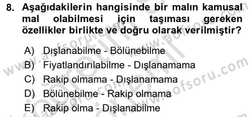 Kamu Maliyesi Dersi Ara Sınavı Deneme Sınav Soruları 8. Soru
