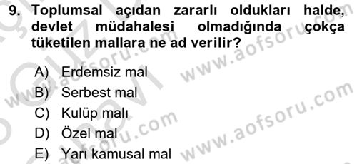 Kamu Maliyesi Dersi Ara Sınavı Deneme Sınav Soruları 9. Soru