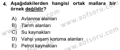 Kamu Maliyesi Dersi 2022 - 2023 Yılı Yaz Okulu Sınavı 4. Soru