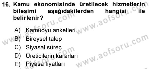 Kamu Maliyesi Dersi 2023 - 2024 Yılı (Vize) Ara Sınav Soruları 16. Soru