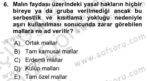 Kamu Maliyesi Dersi Ara Sınavı Deneme Sınav Soruları 6. Soru