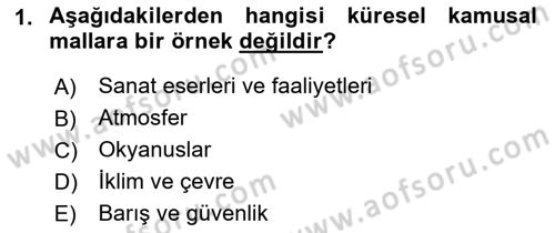Kamu Maliyesi Dersi 2023 - 2024 Yılı (Final) Dönem Sonu Sınav Soruları 1. Soru