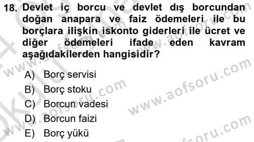 Kamu Maliyesi Dersi 2023 - 2024 Yılı Yaz Okulu Sınav Soruları 18. Soru