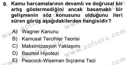 Kamu Maliyesi Dersi 2023 - 2024 Yılı Yaz Okulu Sınav Soruları 9. Soru