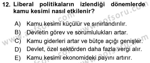 Kamu Maliyesi Dersi 2024 - 2025 Yılı (Vize) Ara Sınav Soruları 12. Soru