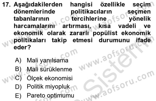 Kamu Maliyesi Dersi 2024 - 2025 Yılı (Vize) Ara Sınav Soruları 17. Soru