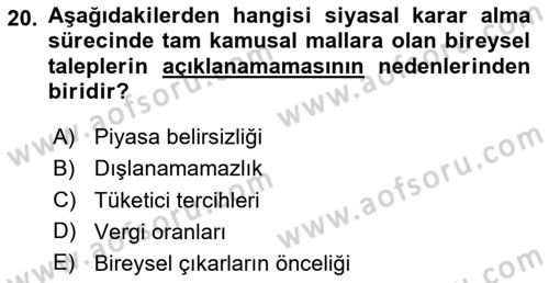 Kamu Maliyesi Dersi 2024 - 2025 Yılı (Vize) Ara Sınav Soruları 20. Soru