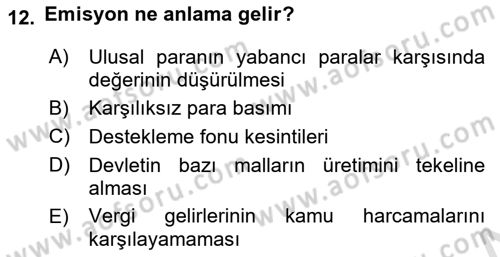Kamu Maliyesi Dersi 2024 - 2025 Yılı (Final) Dönem Sonu Sınav Soruları 12. Soru