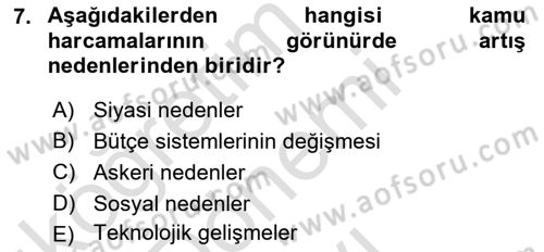 Kamu Maliyesi Dersi 2024 - 2025 Yılı (Final) Dönem Sonu Sınav Soruları 7. Soru