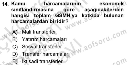 Kamu Maliyesi Dersi 2024 - 2025 Yılı Yaz Okulu Sınav Soruları 14. Soru