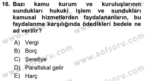 Kamu Maliyesi Dersi 2024 - 2025 Yılı Yaz Okulu Sınav Soruları 16. Soru