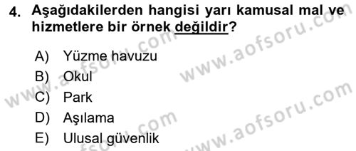 Kamu Maliyesi Dersi 2024 - 2025 Yılı Yaz Okulu Sınav Soruları 4. Soru