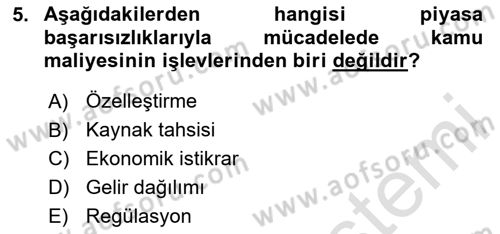 Kamu Maliyesi Dersi 2024 - 2025 Yılı Yaz Okulu Sınav Soruları 5. Soru