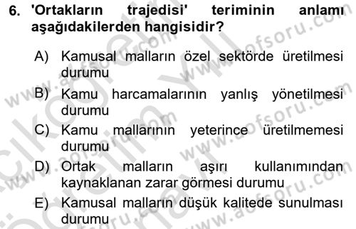 Kamu Maliyesi Dersi 2024 - 2025 Yılı Yaz Okulu Sınav Soruları 6. Soru