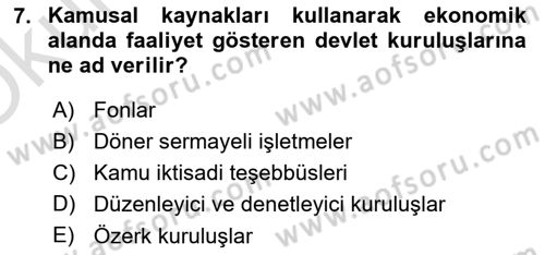 Kamu Maliyesi Dersi 2024 - 2025 Yılı Yaz Okulu Sınav Soruları 7. Soru