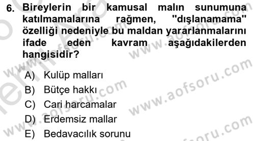 Kamu Maliyesi Dersi 2025 - 2026 Yılı (Vize) Ara Sınav Soruları 6. Soru
