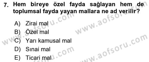 Kamu Maliyesi Dersi 2025 - 2026 Yılı (Vize) Ara Sınav Soruları 7. Soru