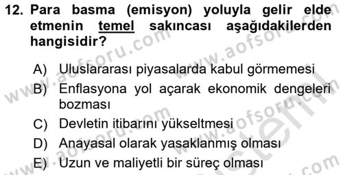 Kamu Maliyesi Dersi 2025 - 2026 Yılı (Final) Dönem Sonu Sınav Soruları 12. Soru