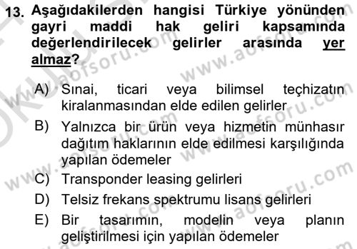 Uluslararası Ticarette Vergilendirme Dersi 2023 - 2024 Yılı Yaz Okulu Sınav Soruları 13. Soru