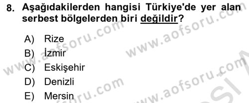 Uluslararası Ticarette Vergilendirme Dersi 2023 - 2024 Yılı Yaz Okulu Sınav Soruları 8. Soru