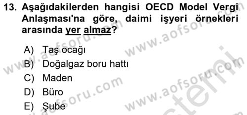 Uluslararası Ticarette Vergilendirme Dersi 2024 - 2025 Yılı (Final) Dönem Sonu Sınav Soruları 13. Soru
