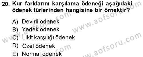 Devlet Bütçesi Dersi 2013 - 2014 Yılı (Final) Dönem Sonu Sınav Soruları 20. Soru