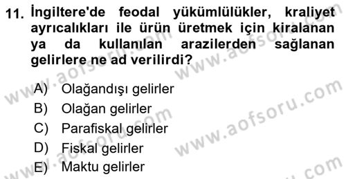 Devlet Bütçesi Dersi Ara Sınavı Deneme Sınav Soruları 11. Soru