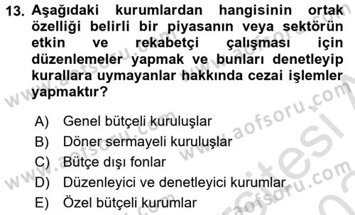 Devlet Bütçesi Dersi 2023 - 2024 Yılı Yaz Okulu Sınav Soruları 13. Soru