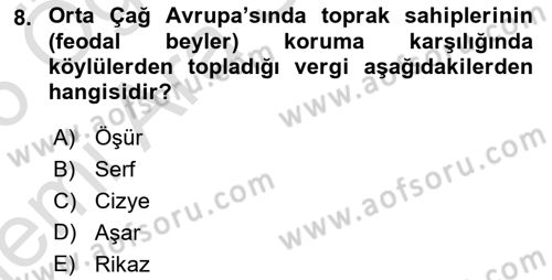 Devlet Bütçesi Dersi 2025 - 2026 Yılı (Vize) Ara Sınav Soruları 8. Soru