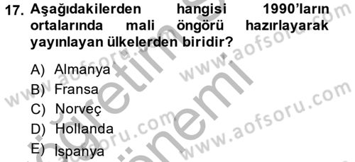 Kamu Mali Yönetimi Dersi 2013 - 2014 Yılı (Vize) Ara Sınav Soruları 17. Soru