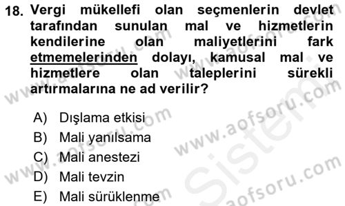 Kamu Mali Yönetimi Dersi 2018 - 2019 Yılı (Vize) Ara Sınav Soruları 18. Soru