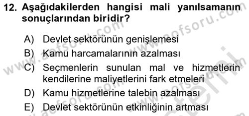 Kamu Mali Yönetimi Dersi 2020 - 2021 Yılı Yaz Okulu Sınav Soruları 12. Soru