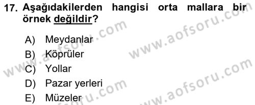 Kamu Mali Yönetimi Dersi 2021 - 2022 Yılı Yaz Okulu Sınav Soruları 17. Soru
