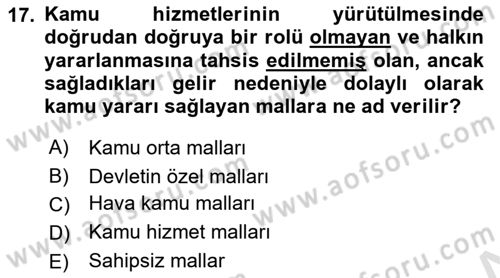 Kamu Mali Yönetimi Dersi 2022 - 2023 Yılı Yaz Okulu Sınav Soruları 17. Soru