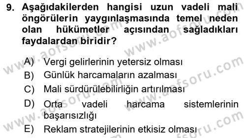 Kamu Mali Yönetimi Dersi 2024 - 2025 Yılı (Vize) Ara Sınav Soruları 9. Soru