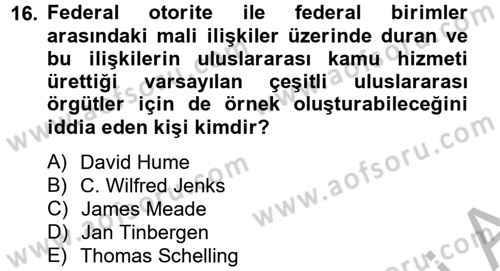 Uluslararası Kamu Maliyesi Dersi 2012 - 2013 Yılı (Vize) Ara Sınav Soruları 16. Soru