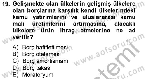 Uluslararası Kamu Maliyesi Dersi 2012 - 2013 Yılı (Vize) Ara Sınav Soruları 19. Soru