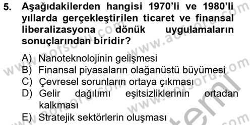 Uluslararası Kamu Maliyesi Dersi 2012 - 2013 Yılı (Vize) Ara Sınav Soruları 5. Soru