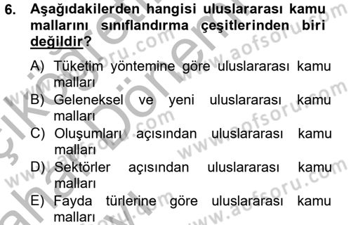 Uluslararası Kamu Maliyesi Dersi 2012 - 2013 Yılı (Vize) Ara Sınav Soruları 6. Soru
