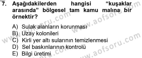 Uluslararası Kamu Maliyesi Dersi 2012 - 2013 Yılı (Vize) Ara Sınav Soruları 7. Soru