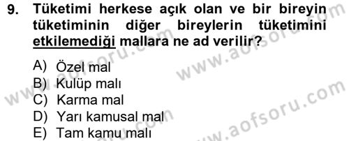 Uluslararası Kamu Maliyesi Dersi 2012 - 2013 Yılı (Vize) Ara Sınavı 9. Soru