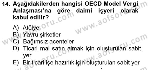 Uluslararası Kamu Maliyesi Dersi 2012 - 2013 Yılı (Final) Dönem Sonu Sınav Soruları 14. Soru