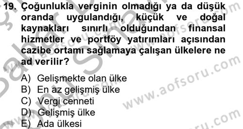 Uluslararası Kamu Maliyesi Dersi 2012 - 2013 Yılı (Final) Dönem Sonu Sınav Soruları 19. Soru