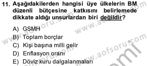 Uluslararası Kamu Maliyesi Dersi 2013 - 2014 Yılı (Vize) Ara Sınav Soruları 11. Soru