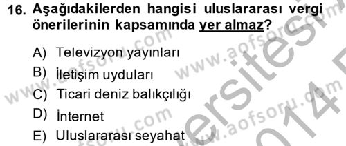 Uluslararası Kamu Maliyesi Dersi 2013 - 2014 Yılı (Vize) Ara Sınav Soruları 16. Soru